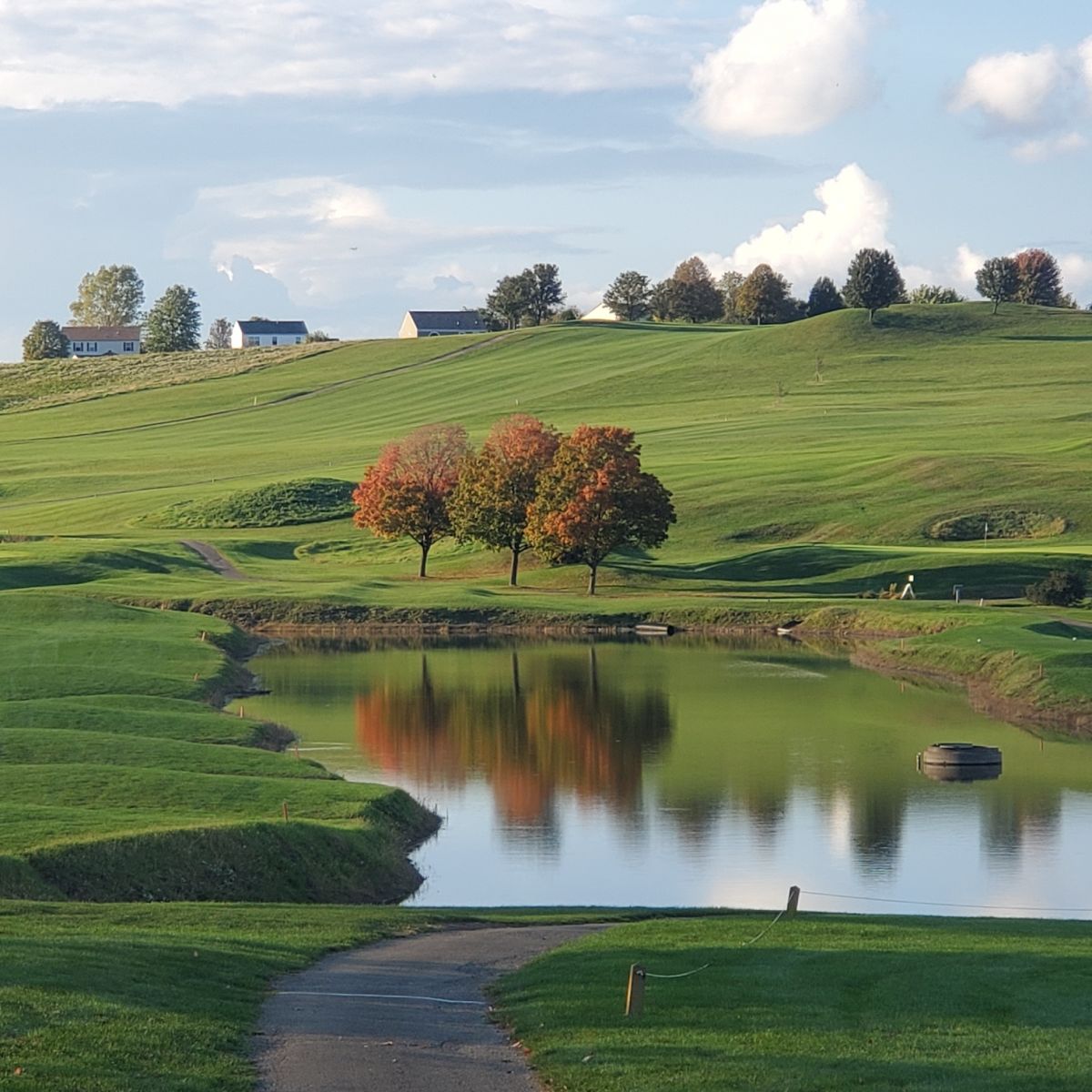 view of golf course green