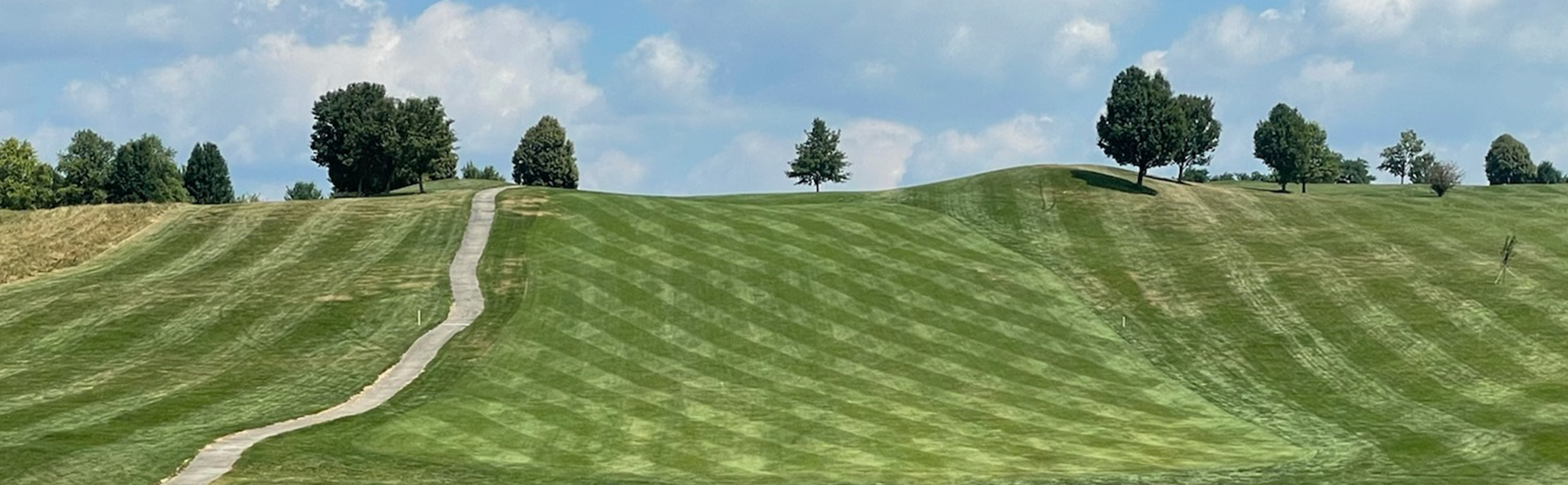 View of golf course green