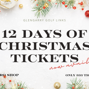 12 Days of Christmas Raffle